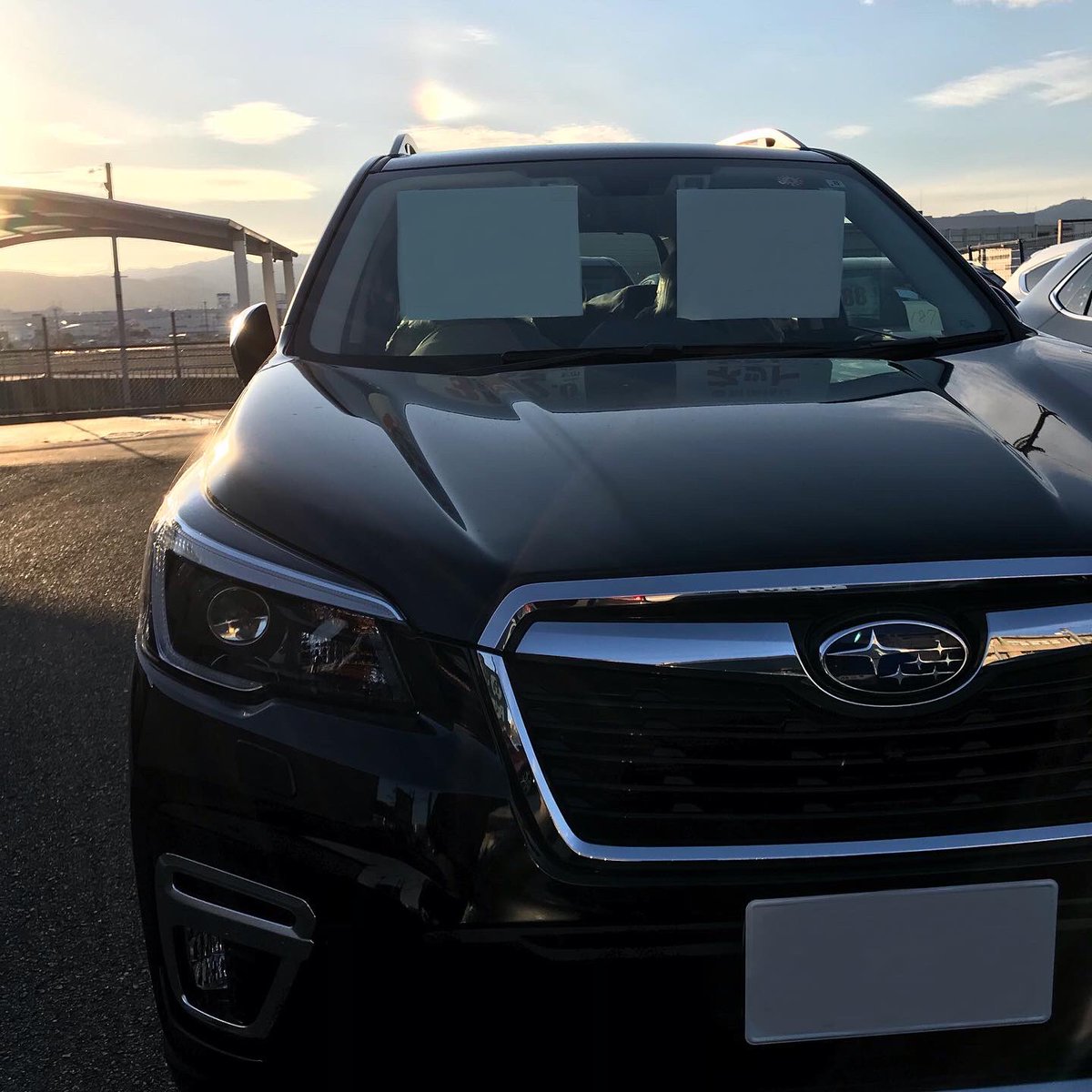 pacarskyoto's tweet photo. 今日は良いお天気なので車が映えますね📸☀️✨
気になる方はホームページを是非ご覧ください♪
HP: https://t.co/YF2rs9fzIz
#パッカーズ #pacars #車好きな人と繋がりたい #輸入車 #国産車 #スバル #フォレスター #フォレスターアドバンス #京都 #京都伏見 https://t.co/IFdzZiMxKI