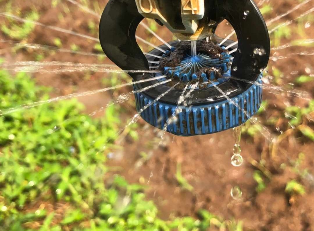 RukundoChrist14's tweet photo. Irrigation is the important key to the crop production which leads to the highest yield as well. 
📸@SanSami142 https://t.co/GwGfcKtVO7