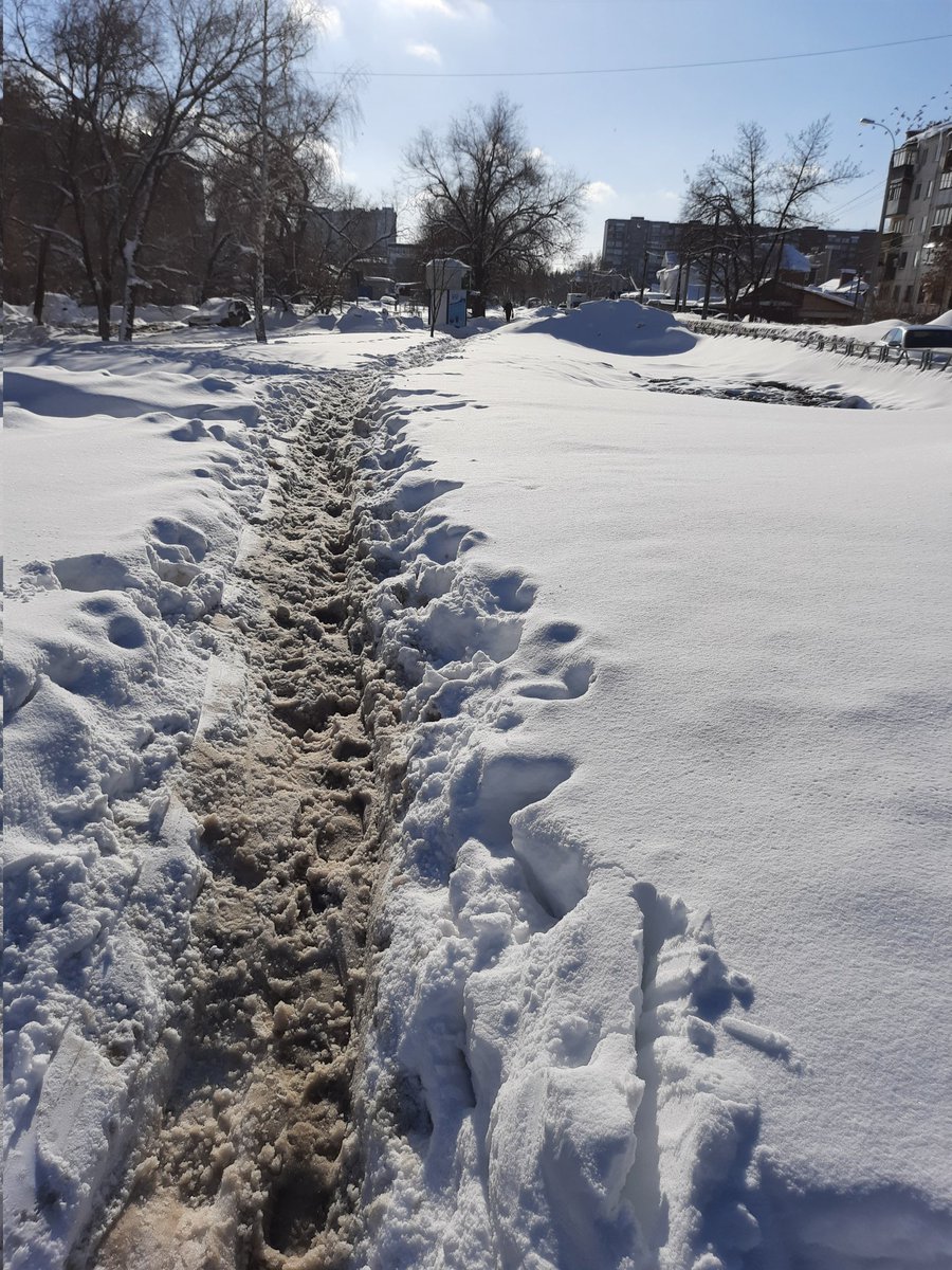 Дмитрий Татаринов tweet media