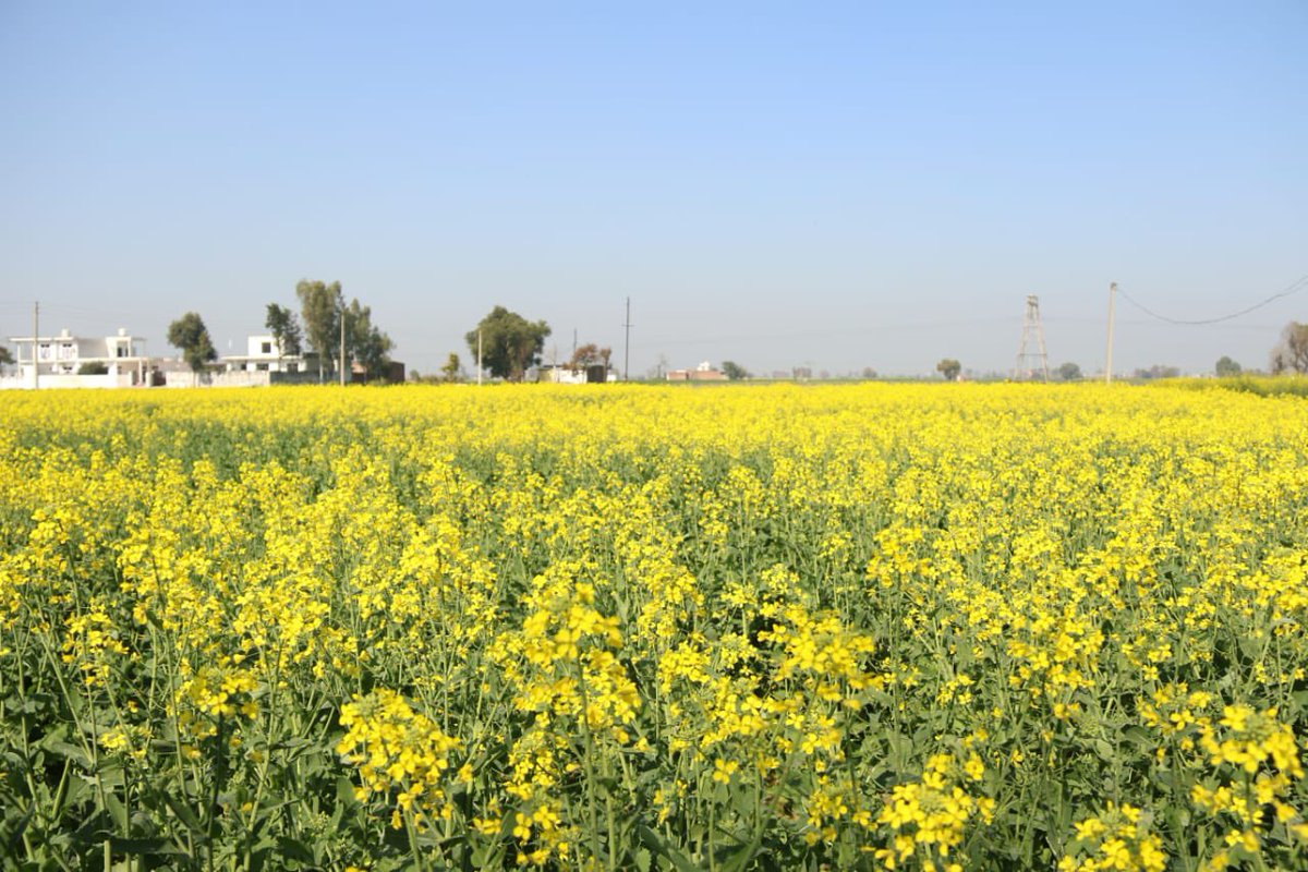 Hardeep Singh Puri tweet media