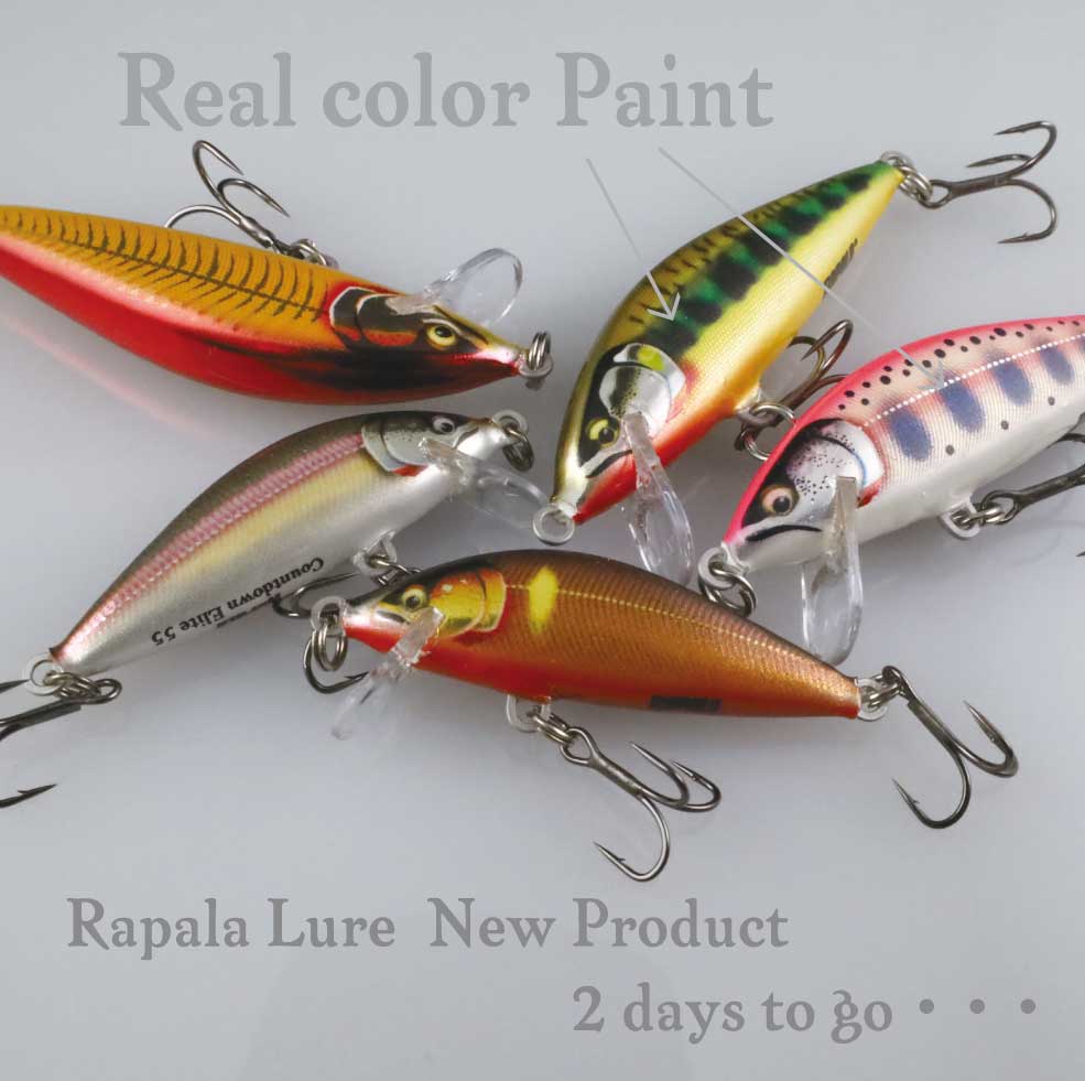 正規 ラパラ ジャパン Rapala ａｓｊ１００ ｇ ルアー フライケース Panero Shop