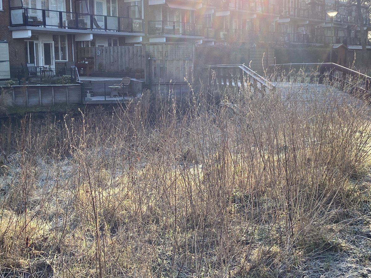 pjer2021's tweet photo. Zal dit voorlopig ons enige winterse moment worden/ zijn? https://t.co/ZdYnWofjTH