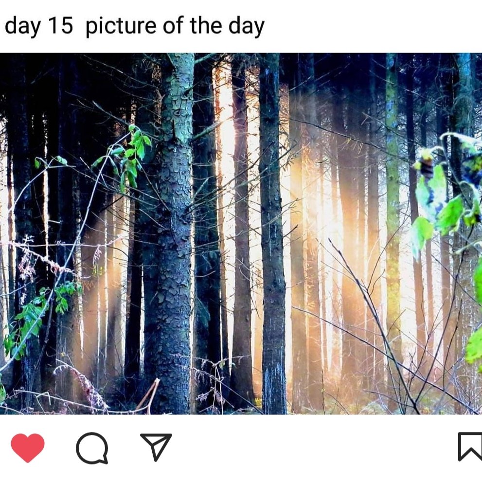 Leo Hens (@leohens57) on Twitter photo 