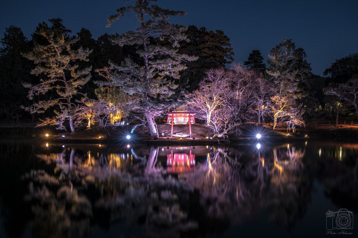 Ha_ku_zen's tweet photo. 厳島神社

(奈良：東大寺)
#キリトリセカイ
#写真好きな人と繋がりたい
#ファインダー越しの私の世界 https://t.co/ogxQoYAOPw