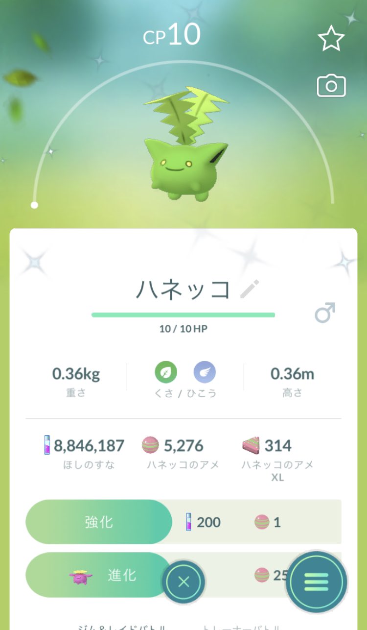 تويتر Poke Jun على تويتر ハネッコイベントお疲れ様でした 今回はあまり良い子が来てくれなかったけど それなりに楽しめた ポケモンgo ハネッコ 色違い T Co Cqoxkmfysd تويتر Poke Jun على تويتر ハネッコイベントお疲れ様でした 今回はあまり良い子が来てくれなかったけど それなりに楽しめた ポケモンgo ハネッコ 色違い T Co Cqoxkmfysd