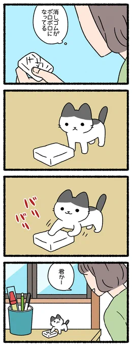 ねこようかい ころぽっくる  #ねこようかい 