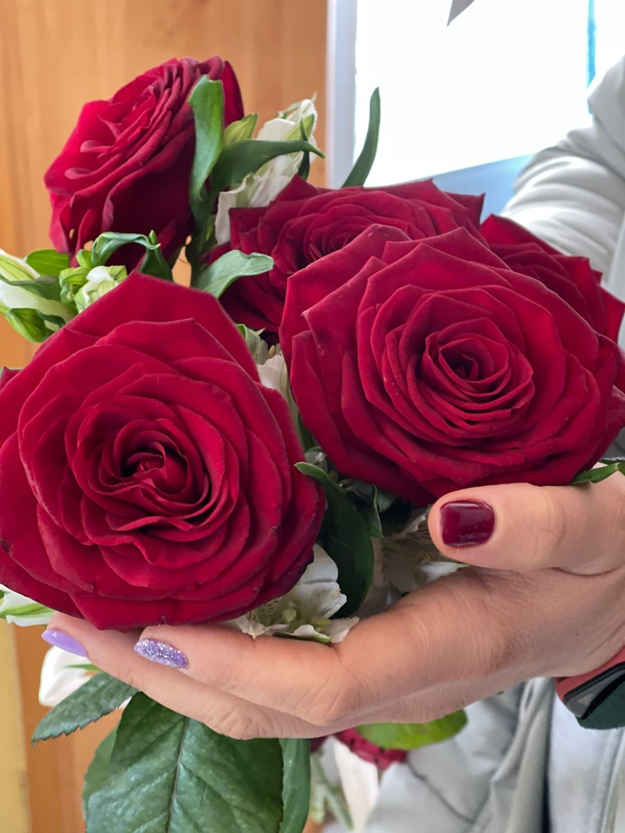 ДарьяВолодина tweet media