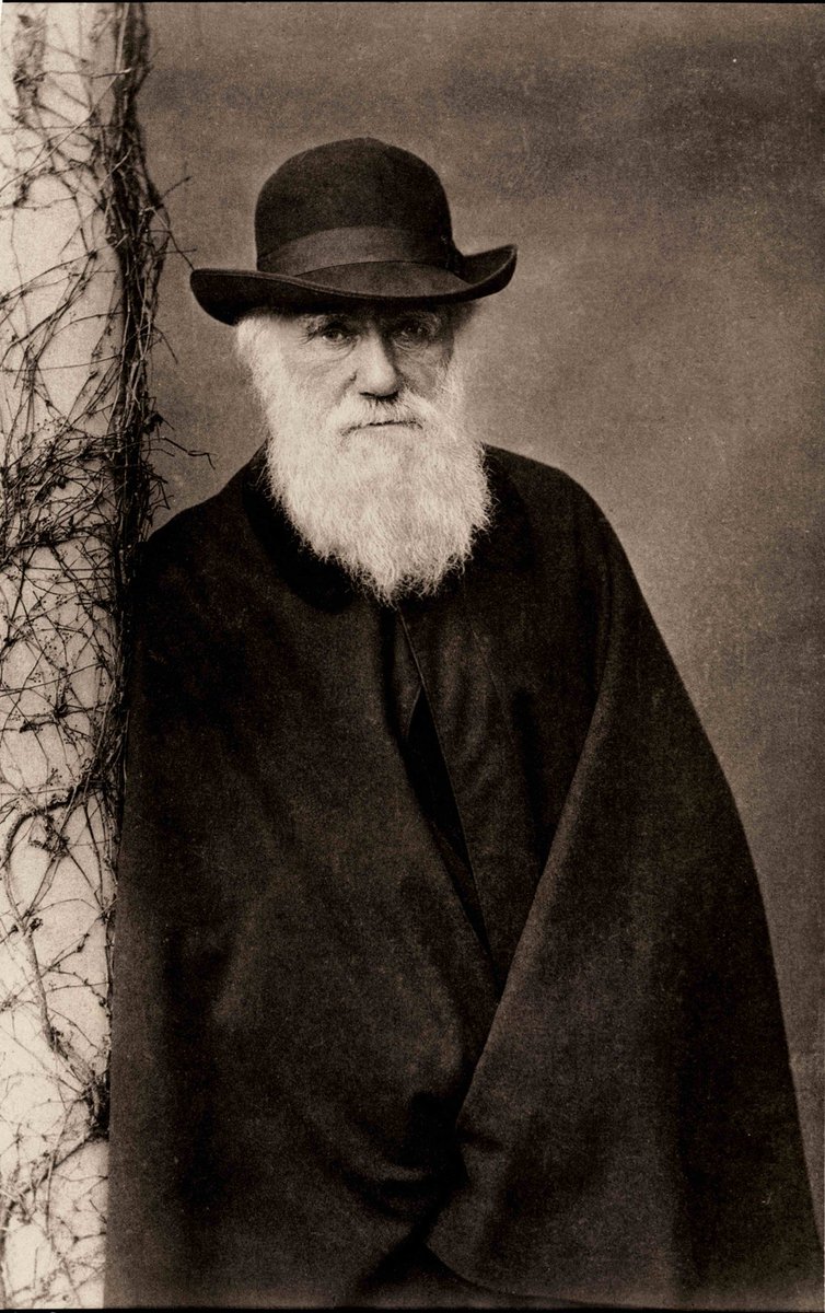 Today is <a href="/DarwinDay_NCSE/">Darwin Day</a>!
Happy birthday Darwin!
What are you going to do in Darwin day?
<a href="/EvoKE_Project/">EvoKE</a>, <a href="/EuroScitizen/">EuroScitizen</a> <a href="/eseb_org/">ESEB</a>