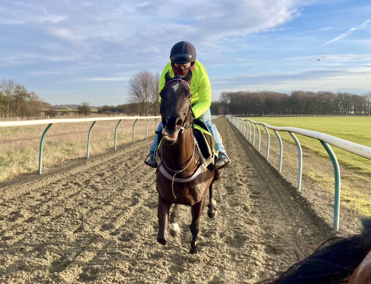 A nice &amp; bright morning <a href="/NewmarketGallop/">Newmarket Gallops</a> but a bracing one #Eljaytee