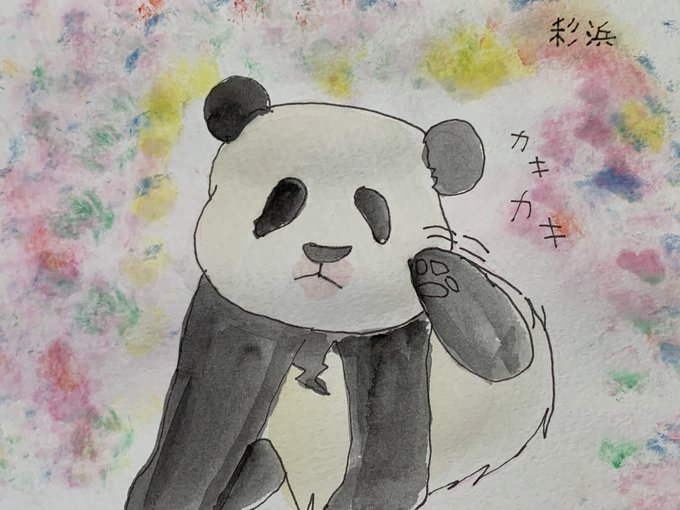 パンダのtwitterイラスト検索結果