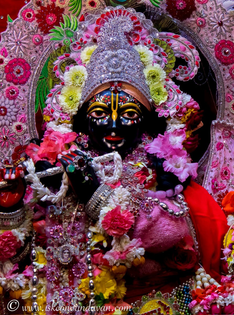 theholy_monk's tweet photo. Sri Krishna 💝🐄💫❣️👏🥥🍐🌺 https://t.co/oittHTOQkk