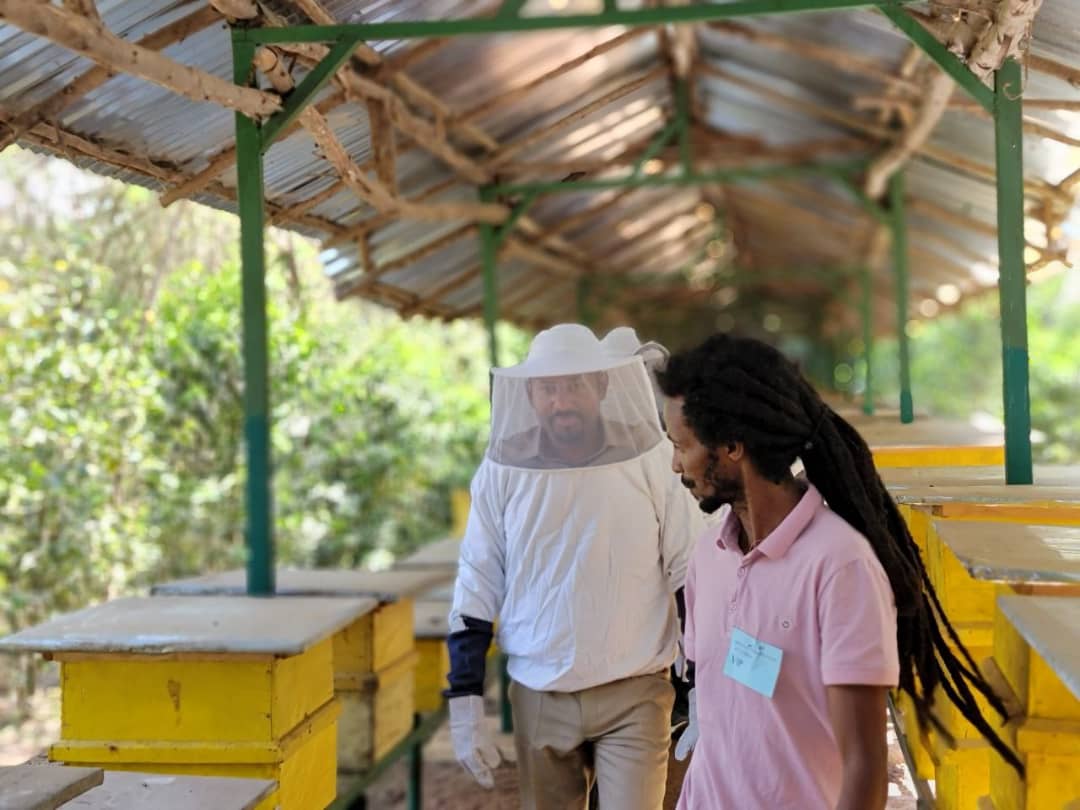 AbiyAhmedAli's tweet photo. Production of coffee &amp; wheat cluster farms in Jimma zone and around Jimma has yielded encouraging results. Cluster farming helps ensure food security, substitute import &amp; increase revenue by enabling crops agreeable with the ecology to grow in larger quantity and highest quality. https://t.co/SYtwpPQmOv
