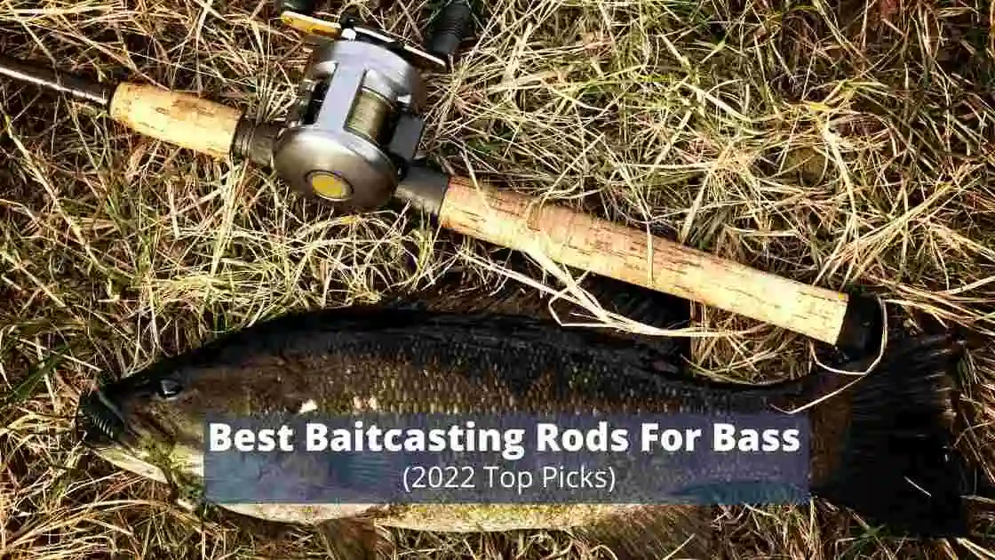 We've Researched Out The Best Baitcasting Rods For Bass Currently Available. Stop Buying Inferior Baitcasting Poles &amp; Find The Right Rod, At The Right Price, For Your Needs!

#bassfishing #fishing 

sensiblefishing.com/best-bass-bait…