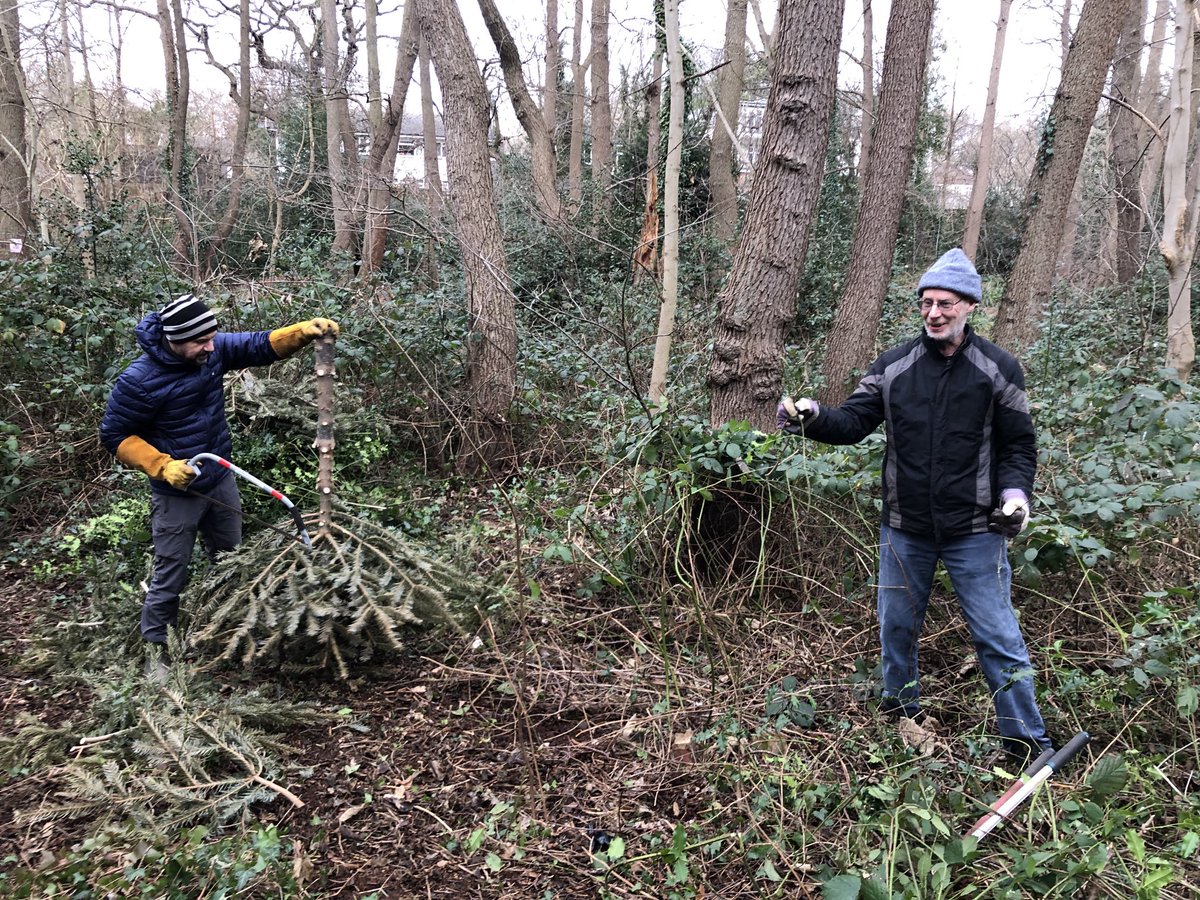 high_broom's tweet photo. Great to welcome new volunteers this morning for some active conservation work! ⁦@idverde_Bromley⁩ ⁦@KateSLangford⁩ ⁦@sezel77⁩ ⁦@LPSB_Friends⁩ ⁦@BlakeParkFriend⁩  ⁦@catoralexandra⁩ ⁦@NatureLark⁩ https://t.co/iG2CC3k75y
