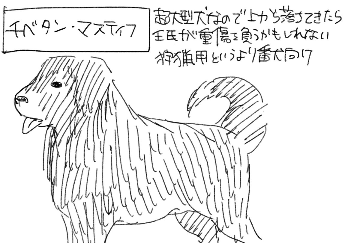 小ネタ①犬
小説を読んでいた時なぜか大型犬でイメージしていて、候補にチベタンマスティフ(60㎏↑)まで挙げてた。
「壬氏が重傷負うかも」と書いてまで何で挙げてたんだ
#薬屋のひとりごと #サンデーGX 