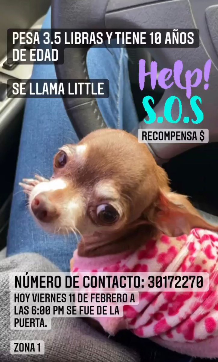 cdmascotas's tweet photo. 🙏🏻🙏🏻🙏🏻

#AmigosCDM #AdoptaNoCompres #AyudaSinJuzgar https://t.co/hpE2M9NlgU