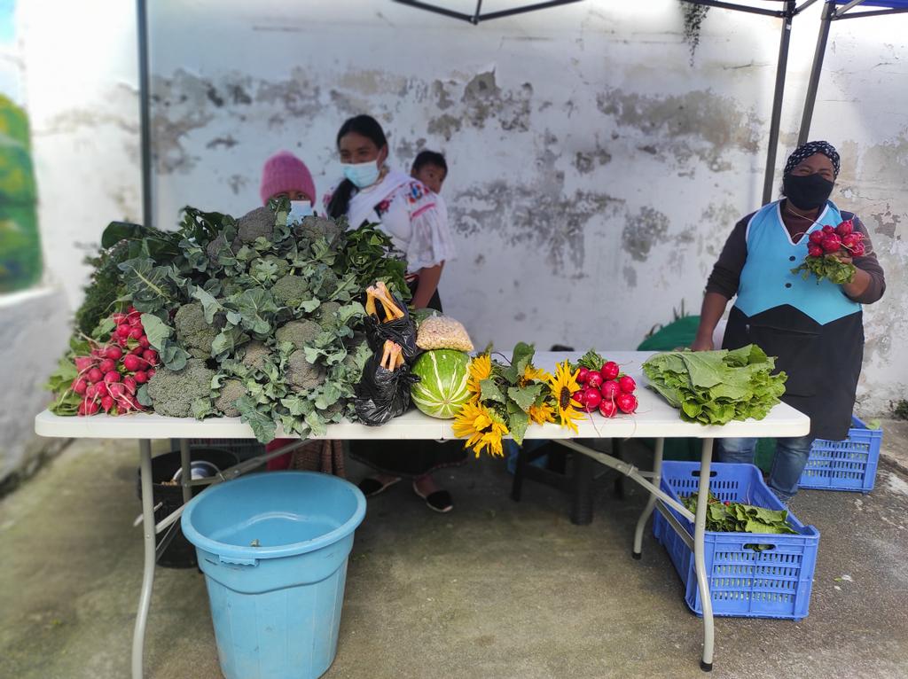AcEcologica's tweet photo. #SoberaníaAlimentaria Ven y se parte de la feria de la interculturalidad en la casa del pueblo Kitukara en el barrio la Floresta.
Desde  ⏰08:00 am. Hasta 2:00 pm
Ven y se parte de la gran ceremonia andina a las 12:00pm.
#NoTransgenicos 
#quitosinminería 
 Los Esperamos. https://t.co/VF6Im6Dj3K