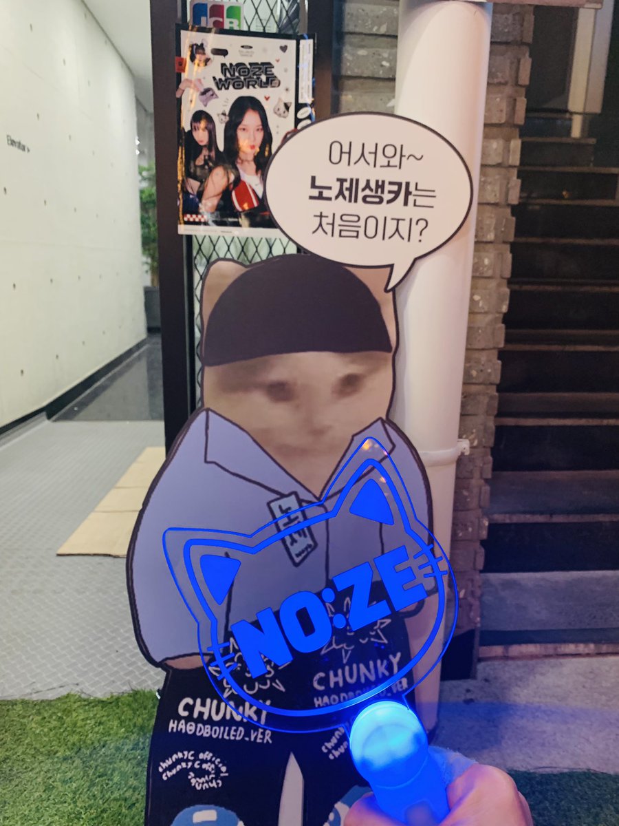 cochogee859's tweet photo. 노제여보💙 
여보 닮음 고양이가 많은 카페였는데
오히려 내가 힐링하고 왔어요❤️

#노제여보_생일축하한다냥
집사의 하루 강남점 https://t.co/7JLT5pg2Mn
