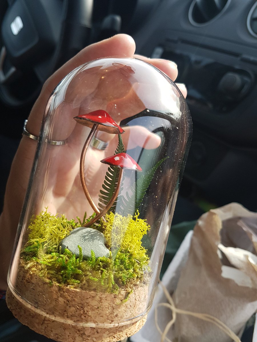 Et ce terrarium avec des amanites en cuivre émaillé @.@ j'avais déjà une paire de boucle d'oreilles, achetée au précédent #festivalYggdrasil ♥️ instagram.com/renardpetite