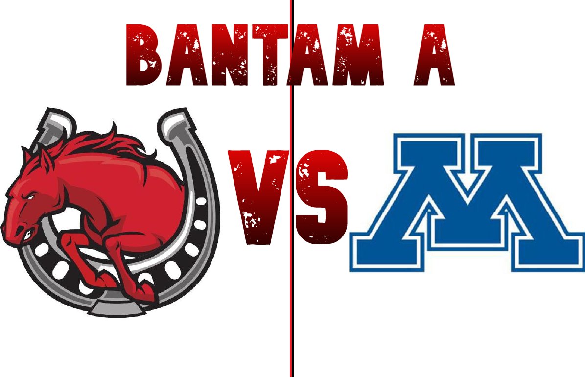 Stillwater Bantam A tweet media