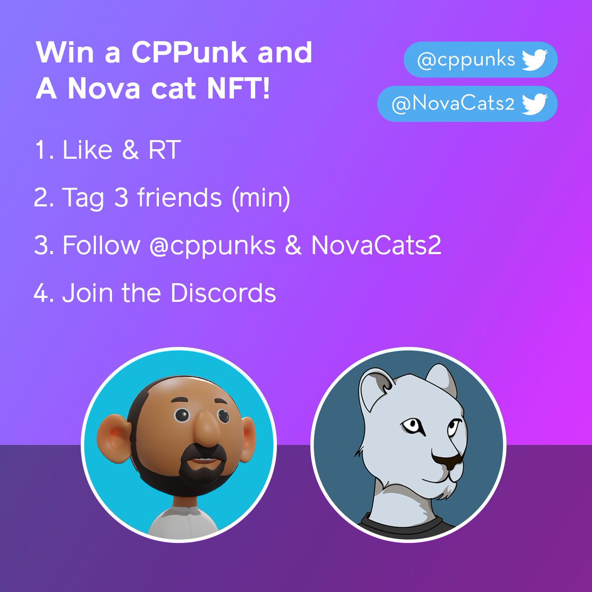 Nova Cats tweet media