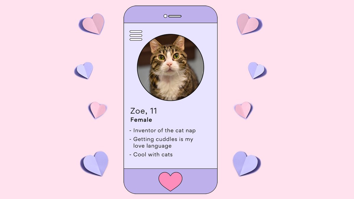 Chewy's tweet photo. SAVE THE DATE: You + the adorable rescue pets at @PeggyAdamsARL. We’re donating 1 lb. of pet food and supplies for everyone that tunes in - up to 10,000 lbs! Join us on TikTok Live, 02/14 at 4PM ET/1PM PT and share the 💖. #ChewyGivesBack https://t.co/CYO3q6Mha5