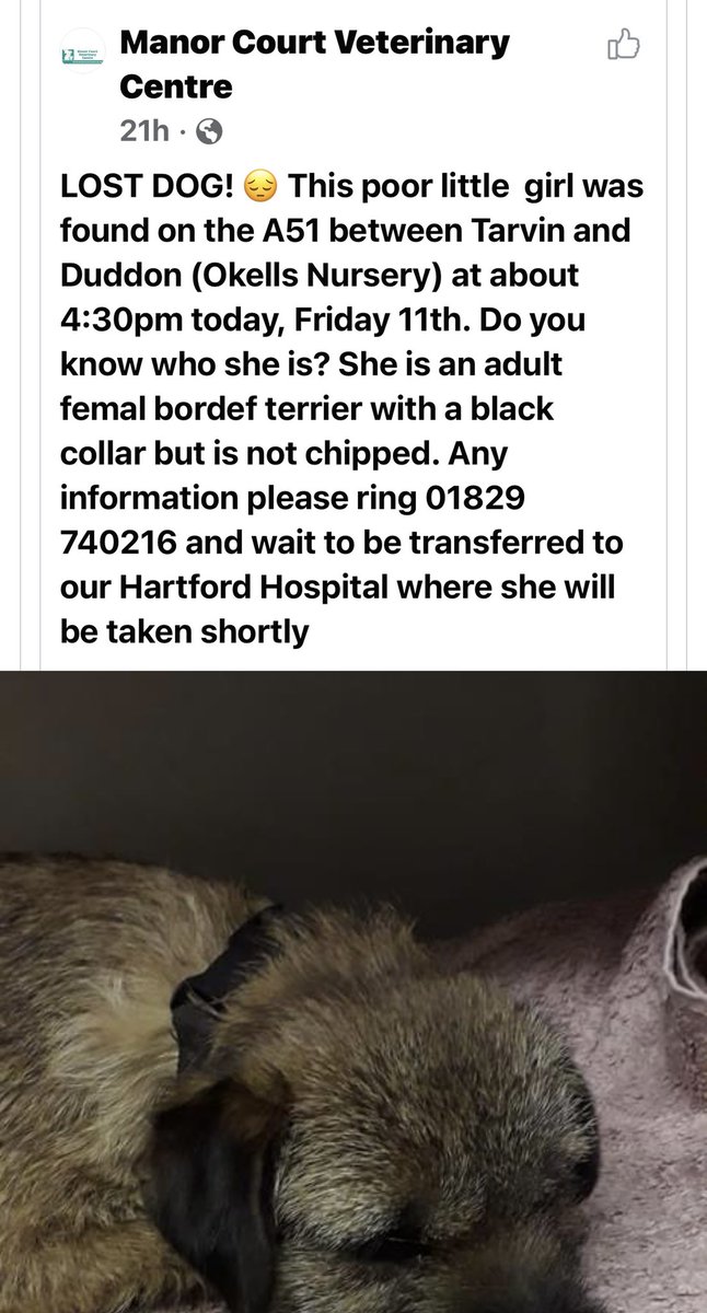 #BTPosse Please share so we can get her home.