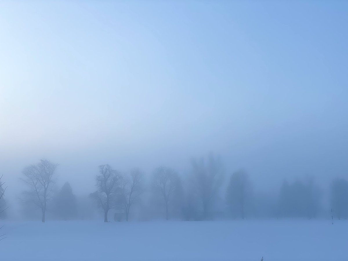 j3nf1nch's tweet image. I have 13,712 photos on my phone. I am an electronic hoarder. 🤦🏼‍♀️ #needmorestorage #editing