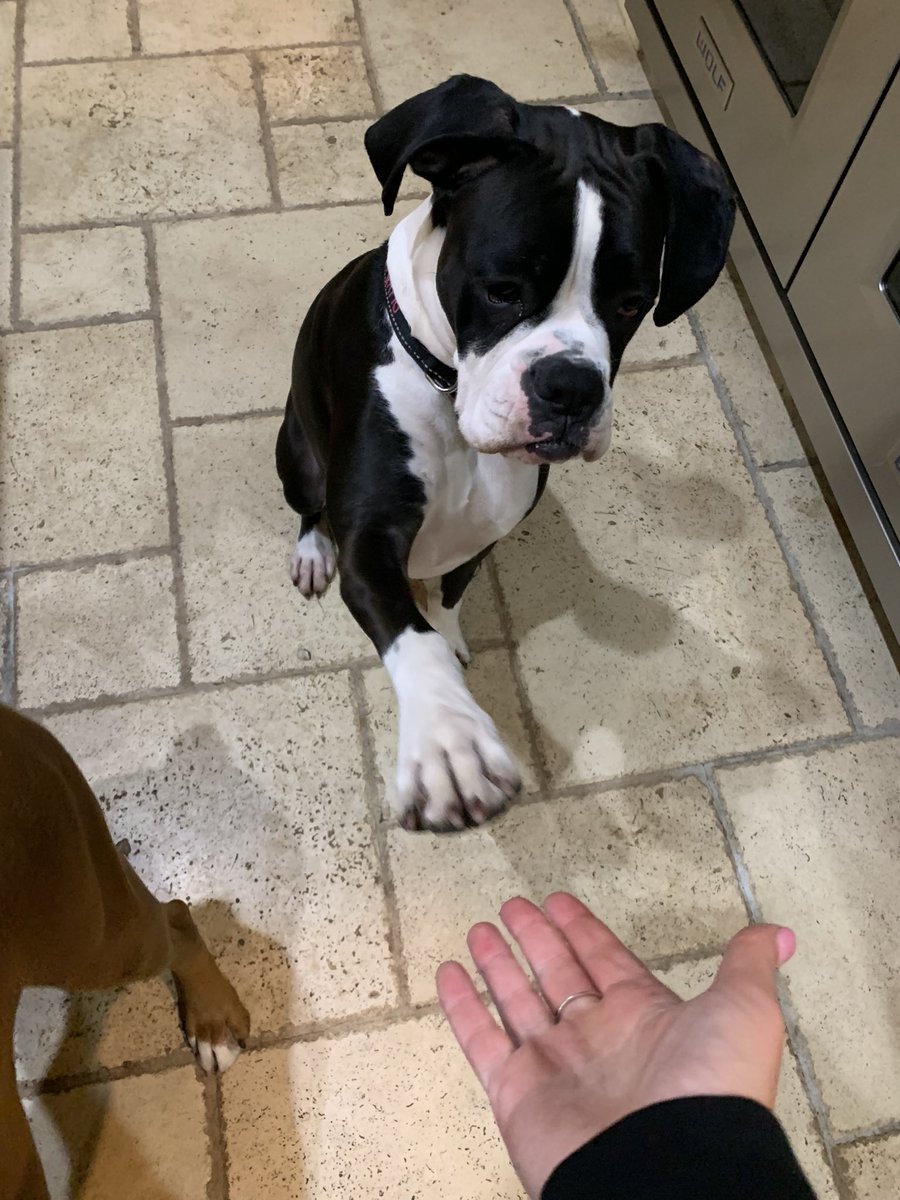 Matthew Willens tweet media