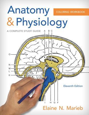 ?DOWNLOAD PDF? Anatomy & Physiology Coloring Workbook: A Complete Study