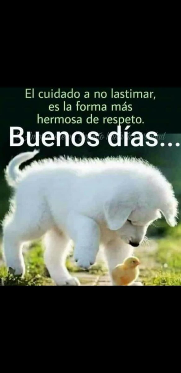 Guadalupe LM tweet media