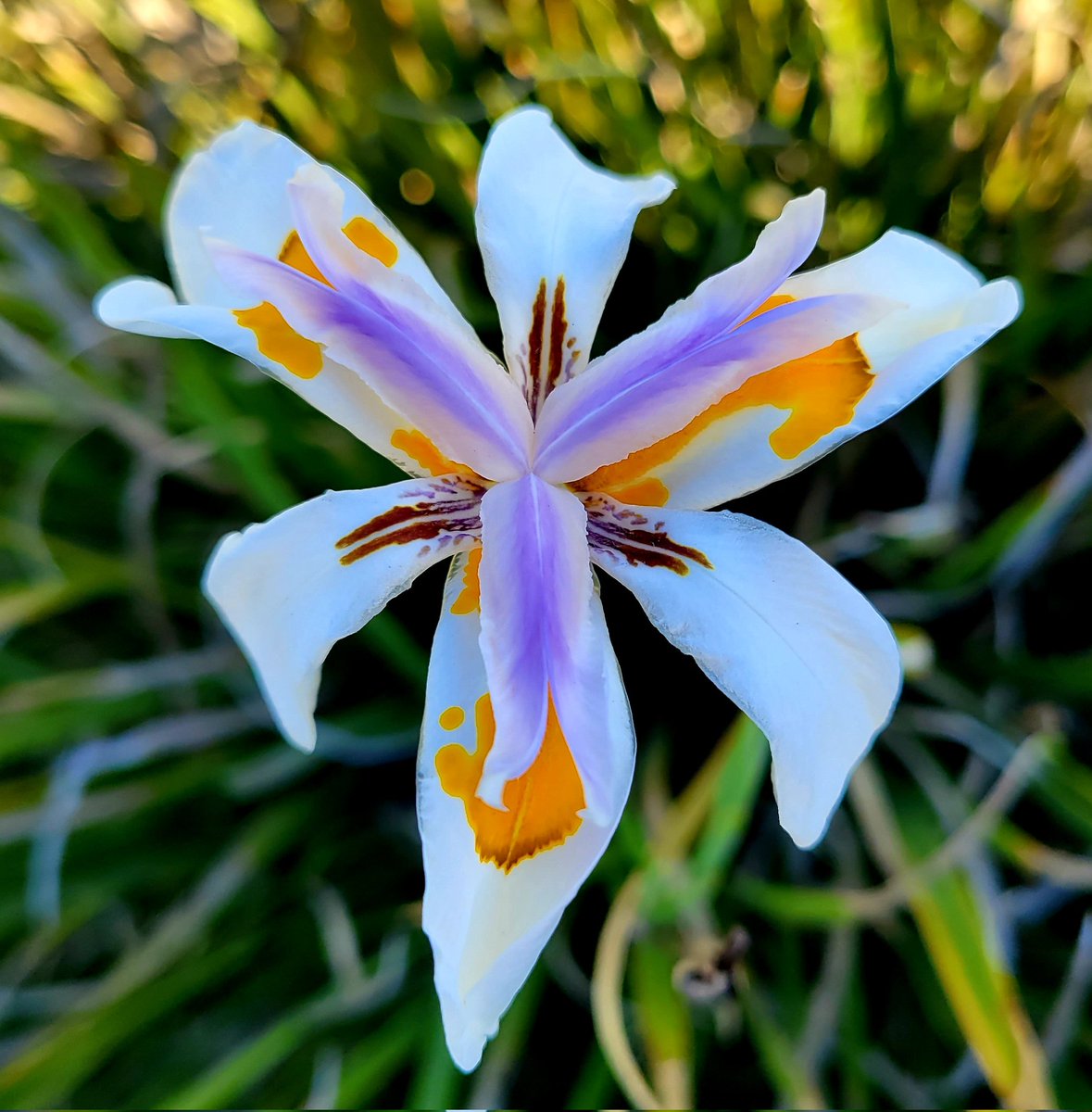 CandaceSotela tweet media