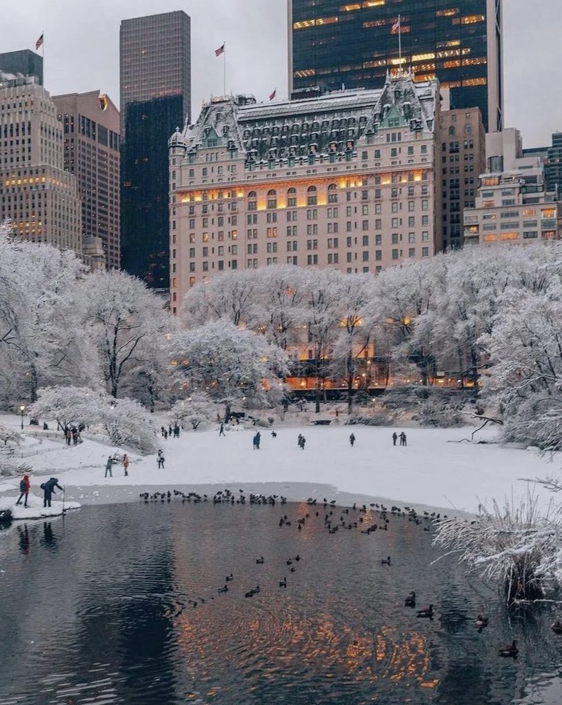 Winter in New York City.