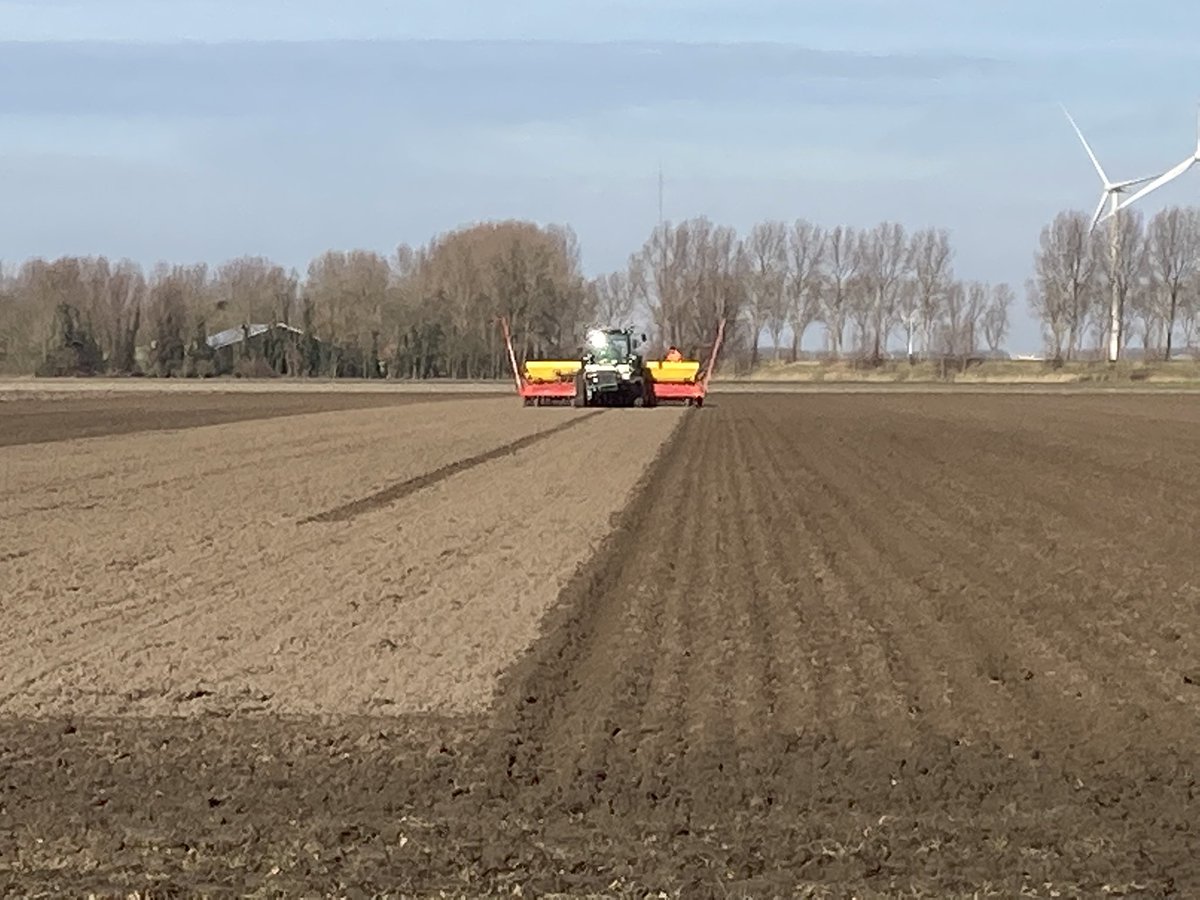 Ook vandaag en afgelopen week nog #uien geplant op #flakkee mooie grond en het weer hielp mee!☀️ <a href="/DeGrootenSlot/">De Groot en Slot</a> <a href="/AkkerTweet/">Akkerwijzer.nl</a> <a href="/iperen_nl/">Van Iperen</a> <a href="/boakkerbouw/">BO Akkerbouw</a> <a href="/RedactieLM/">LandbouwMechanisatie</a> #tweedejaarsplantuien  <a href="/BroerBV/">Broer B.V.</a>