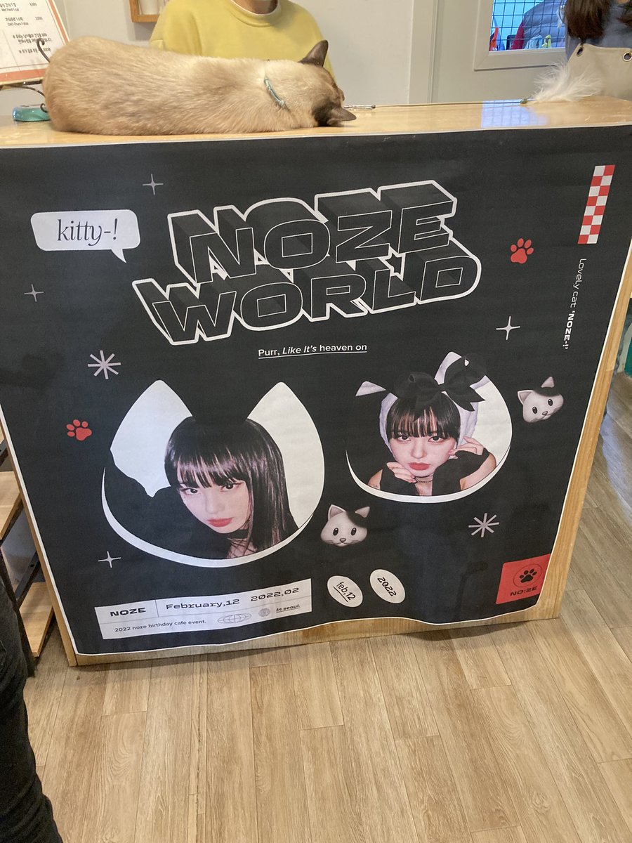 nokong_world's tweet photo. 노제 생카 투어 3
3번째로 카페 집사의 하루 ㅜㅜ 진짜 고양이 카페는 첨가봤는데 말도안되. 고양이들 너무너무귀엽고 노제가 많더라구요.. 아기고양이... 현수막도 큼지막하니 예뻤습니다💙💙 
#노제여보_생일축하한다냥 https://t.co/SHFMYOSmrI