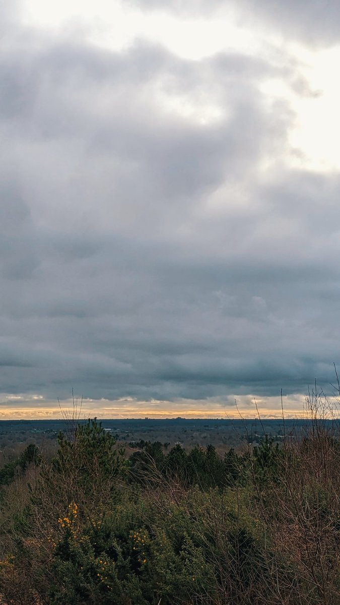 BenJieStills's tweet photo. And now in the country steam in the dark in the dust from the factories where you stare out to the world and that cloud parade gives you a swirl, saying "I wanna see something new"
Song: Cloud Parade
By The Brazen Youth
#wideopenviews #treephotography #photography https://t.co/9euTjD0GsB