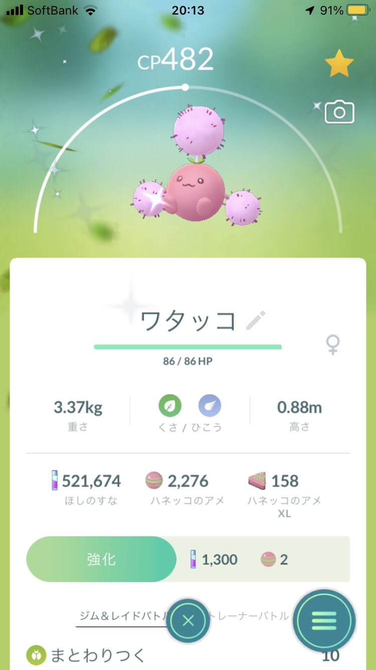色違いワタッコ Twitter Search Twitter