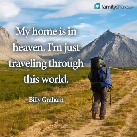 markcollier733's tweet image. 