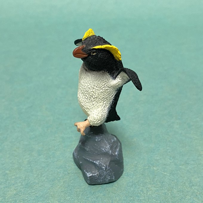 イワトビペンギン の評価や評判 感想など みんなの反応を1週間ごとにまとめて紹介 ついラン イワトビペンギン の評価や評判 感想など みんなの反応を1週間ごとにまとめて紹介 ついラン