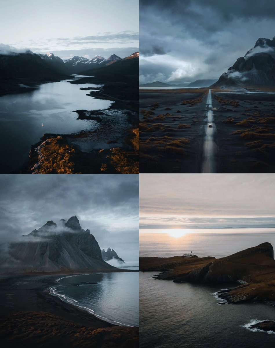 Milla Rice tweet media