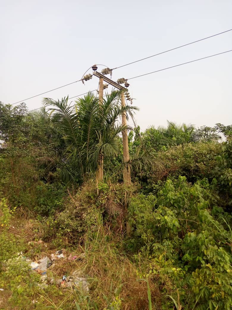 LagosNepaMan's tweet photo. VIEWERS DISCRETION IS ADVISED

A case of vandalization was observed between Sala &amp; Oke Oshe on the way to Epe town.

The vandals made away with 200 meters of aluminum conductors of two spans of a phase on the feeder, also an electrocuted dead body of one of the vandals was found. https://t.co/uKAFi0VuC3