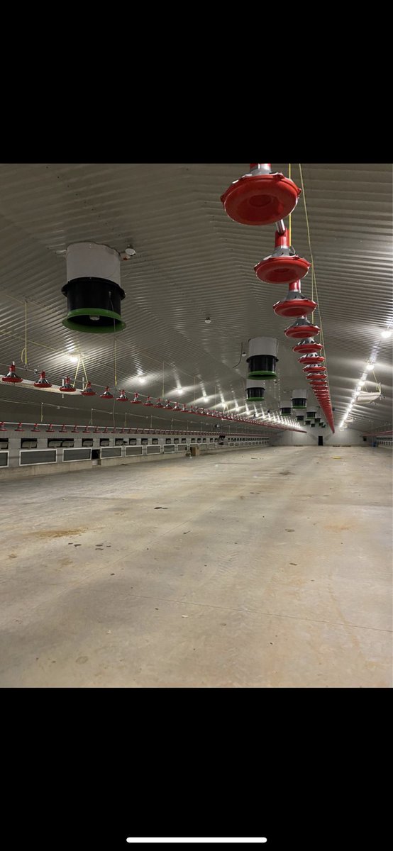 Carbon x74 tweet media