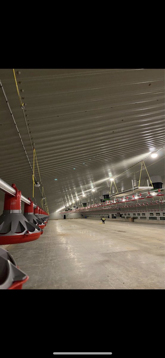 Four houses complete in Lincolnshire for <a href="/jfmckennaltd/">JF McKenna Ltd</a> . Great build from <a href="/ClarkeGroup1/">Clarke Group Ltd</a> making everything go as smooth as it possibly can. Just waiting for silos to be craned in once the concrete is complete. Perches also complete by my team <a href="/CarbonX74/">Carbon x74</a>