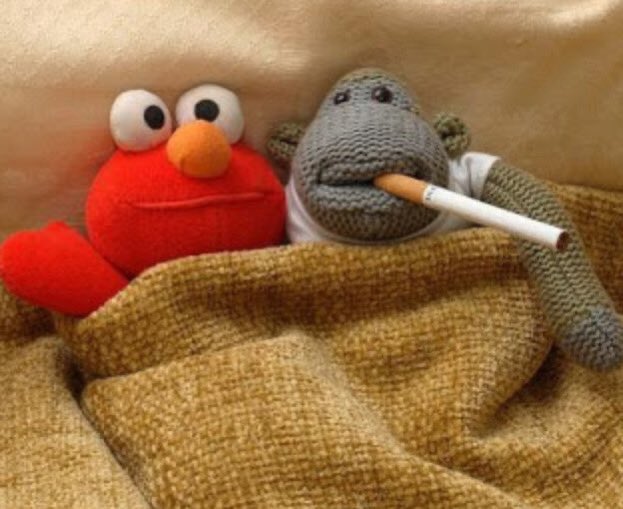 The Real Bert tweet media
