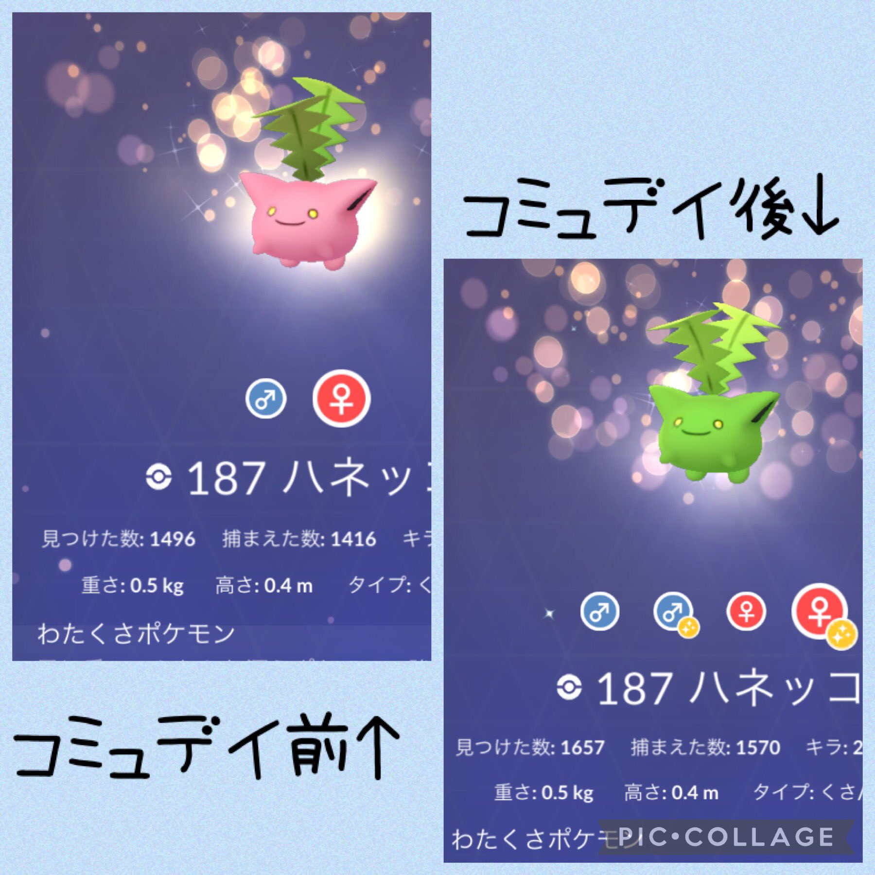 ねごん ポケモンgo Negon Official Twitter