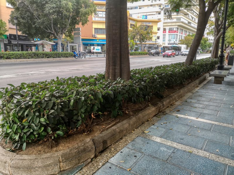 Vivir Marbella tweet media