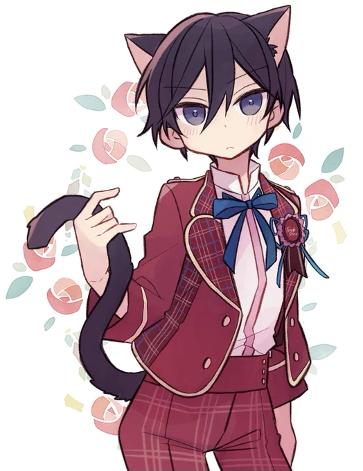 2月よくばりセット🐈🍫 