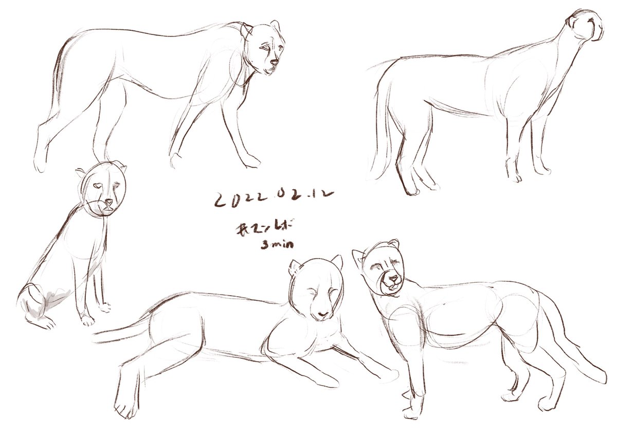 @tos #マンレボ 1日2日やらないとだいぶサボった気になるな 