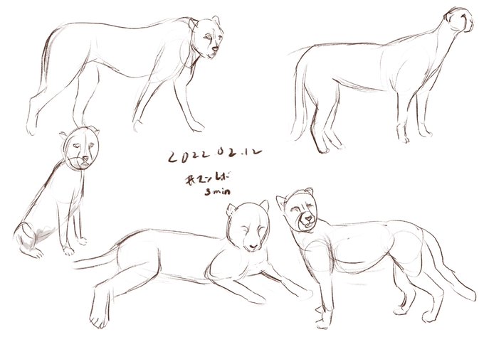 @tos #マンレボ 1日2日やらないとだいぶサボった気になるな 