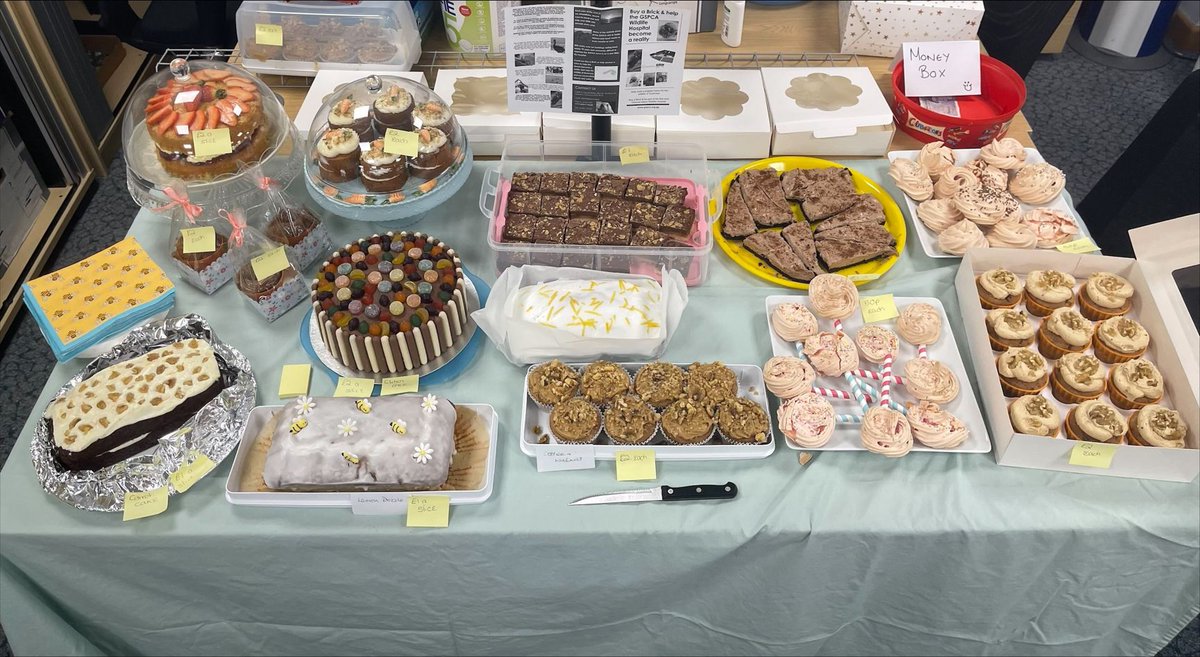GSPCA's tweet photo. #GSPCAPurpleWeek Celebrate with us 149 years โ Huge thanks to the staff at MJ Hudson who have a cake sale to raise funds to buy a brick in the GSPCA Wildlife Hospital https://t.co/X0IEH91Qy1 @MJHudsonCorp https://t.co/VF2tZ4fVWl
